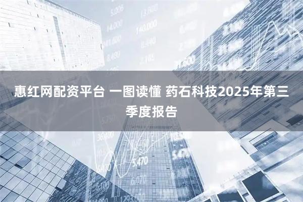 惠红网配资平台 一图读懂 药石科技2025年第三季度报告