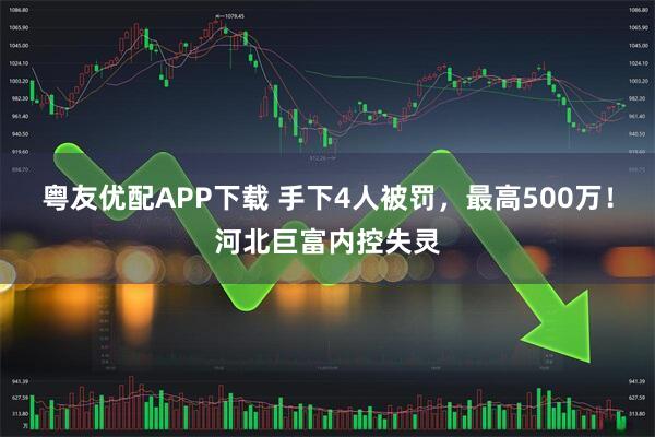 粤友优配APP下载 手下4人被罚，最高500万！河北巨富内控失灵