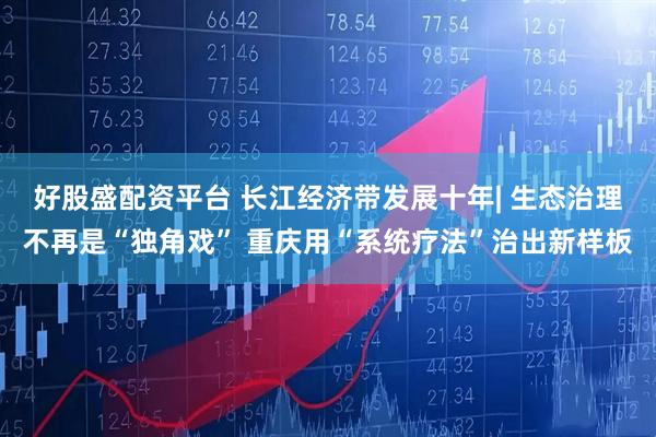 好股盛配资平台 长江经济带发展十年| 生态治理不再是“独角戏” 重庆用“系统疗法”治出新样板