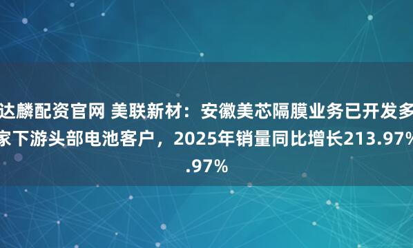 达麟配资官网 美联新材：安徽美芯隔膜业务已开发多家下游头部电池客户，2025年销量同比增长213.97%
